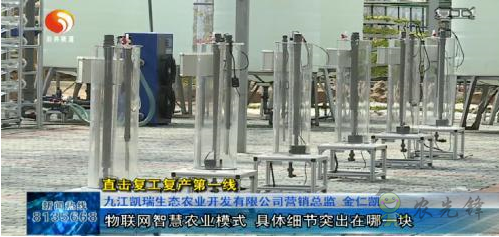 彭澤縣國家現(xiàn)代農業(yè)產(chǎn)業(yè)園
