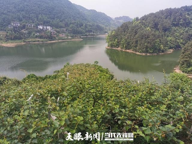 貴陽:大數據讓農戶嘗到了智慧農業的“甜頭”