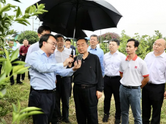 唐仁健:做大做強特色產業,扎實推進鄉村建設