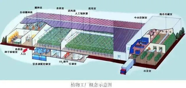 康養農業+植物工廠+智能化,融合協同發展