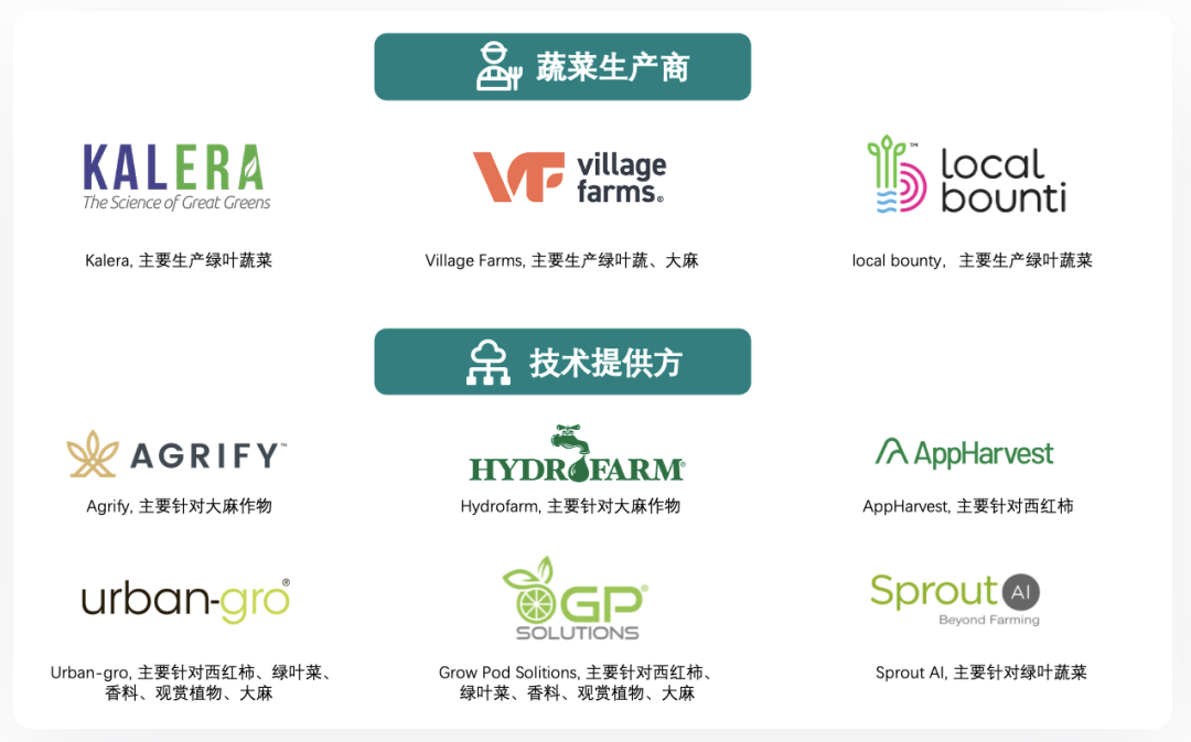 垂直農(nóng)業(yè),一個可持續(xù)的未來?
