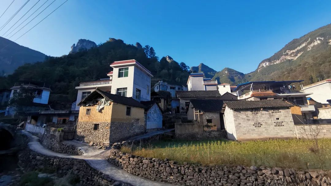 陳明:以超常改革舉措穩(wěn)住農(nóng)業(yè)農(nóng)村基本盤(pán) 陳明:以超常改革舉措穩(wěn)住農(nóng)業(yè)農(nóng)村基本盤(pán)