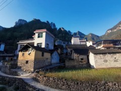 陳明:以超常改革舉措穩(wěn)住農(nóng)業(yè)農(nóng)村基本盤(pán)