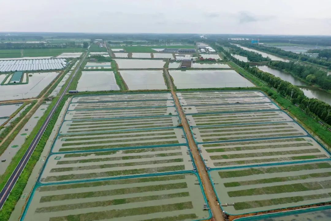 江蘇省兩地入選全國(guó)農(nóng)業(yè)生產(chǎn)“三品一標(biāo)”典型案例 江蘇省兩地入選全國(guó)農(nóng)業(yè)生產(chǎn)“三品一標(biāo)”典型案例